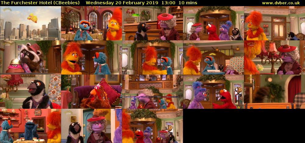 The Furchester Hotel (CBeebies) Wednesday 20 February 2019 13:00 - 13:10