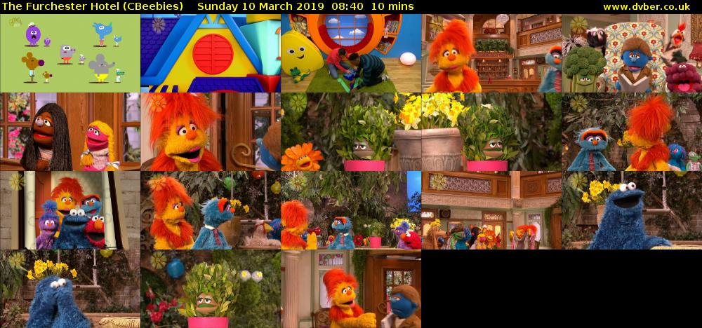 The Furchester Hotel (CBeebies) Sunday 10 March 2019 08:40 - 08:50
