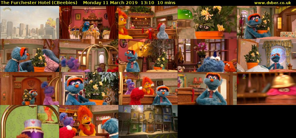 The Furchester Hotel (CBeebies) Monday 11 March 2019 13:10 - 13:20