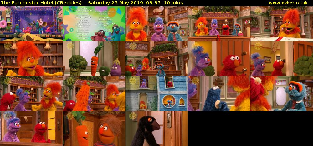 The Furchester Hotel (CBeebies) Saturday 25 May 2019 08:35 - 08:45