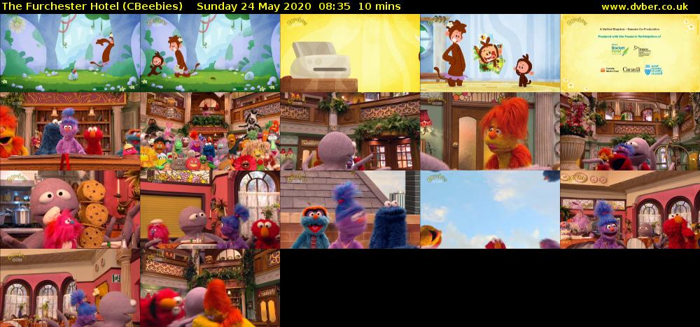 The Furchester Hotel (CBeebies) Sunday 24 May 2020 08:35 - 08:45
