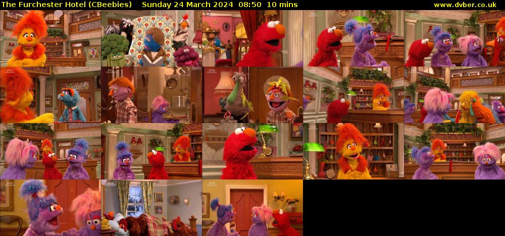 The Furchester Hotel (CBeebies) Sunday 24 March 2024 08:50 - 09:00