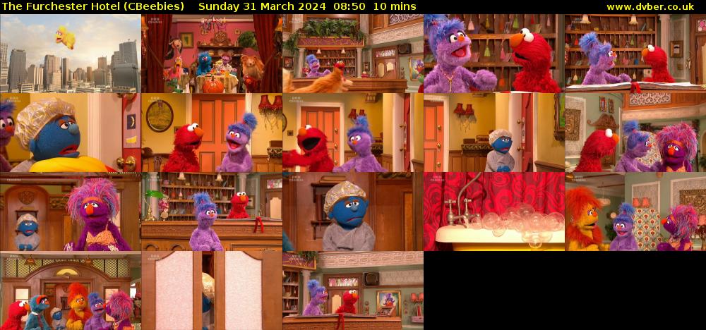 The Furchester Hotel (CBeebies) Sunday 31 March 2024 08:50 - 09:00