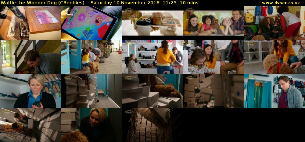 Waffle the Wonder Dog (CBeebies) Saturday 10 November 2018 11:25 - 11:35