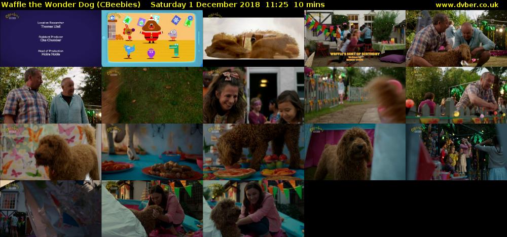 Waffle the Wonder Dog (CBeebies) Saturday 1 December 2018 11:25 - 11:35