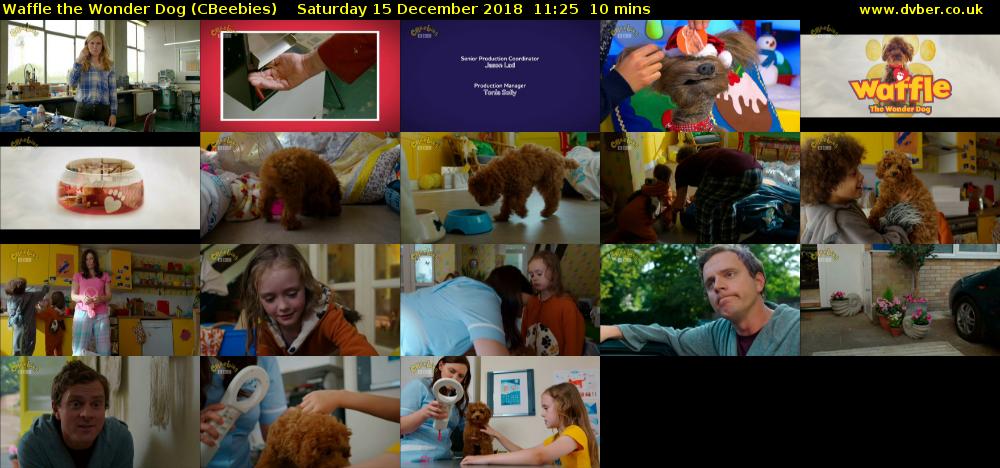 Waffle the Wonder Dog (CBeebies) Saturday 15 December 2018 11:25 - 11:35