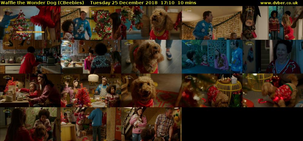 Waffle the Wonder Dog (CBeebies) Tuesday 25 December 2018 17:10 - 17:20