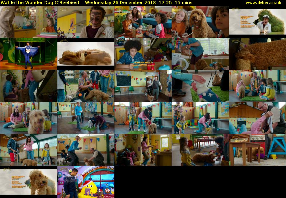 Waffle the Wonder Dog (CBeebies) 201812261725