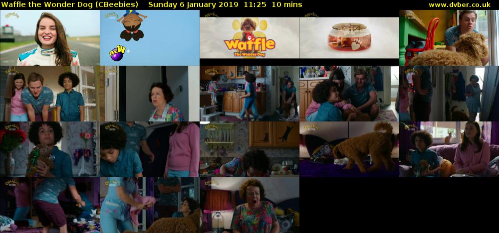 Waffle the Wonder Dog (CBeebies) Sunday 6 January 2019 11:25 - 11:35