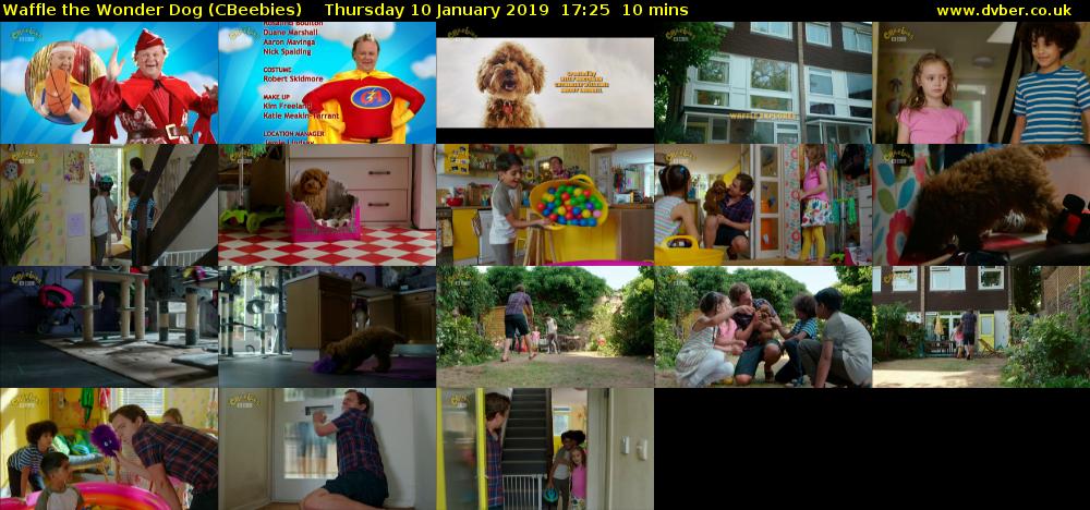 Waffle the Wonder Dog (CBeebies) Thursday 10 January 2019 17:25 - 17:35