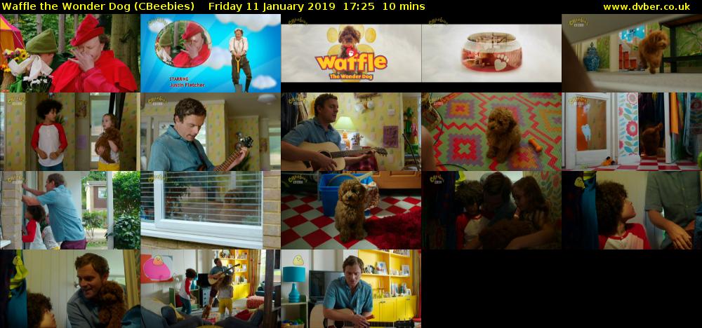 Waffle the Wonder Dog (CBeebies) Friday 11 January 2019 17:25 - 17:35