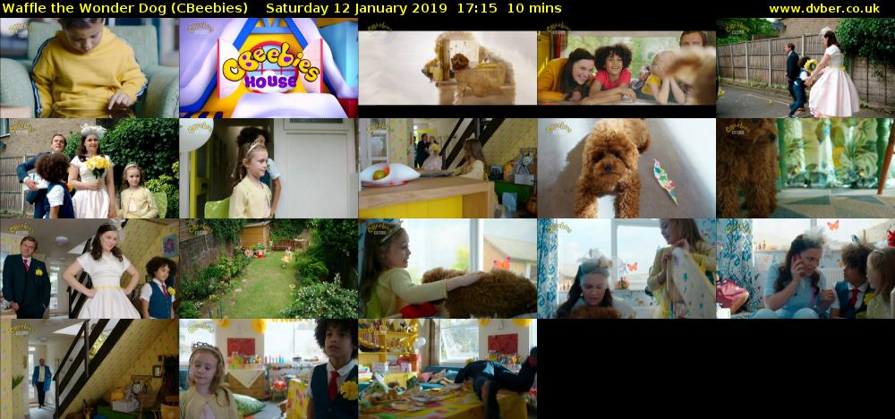 Waffle the Wonder Dog (CBeebies) Saturday 12 January 2019 17:15 - 17:25