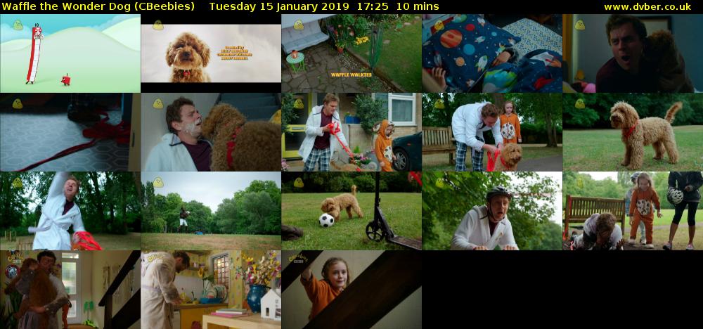 Waffle the Wonder Dog (CBeebies) Tuesday 15 January 2019 17:25 - 17:35