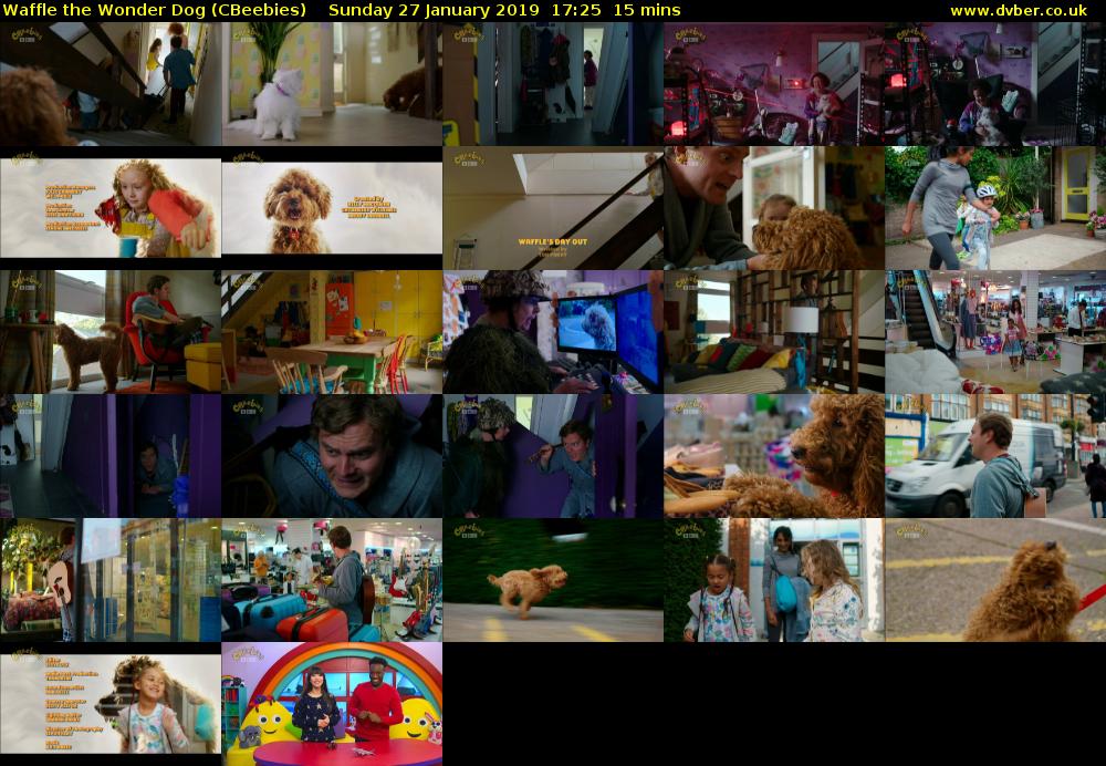 Waffle the Wonder Dog (CBeebies) 201901271725
