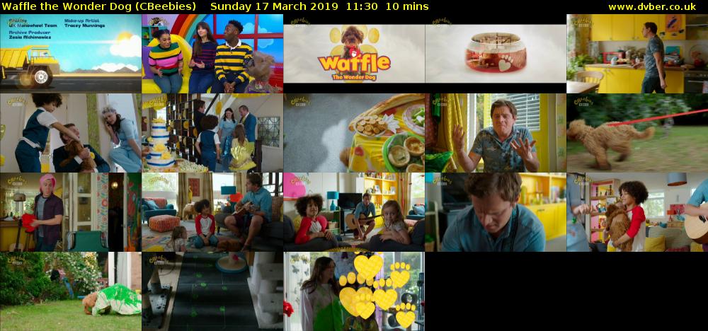 Waffle the Wonder Dog (CBeebies) Sunday 17 March 2019 11:30 - 11:40