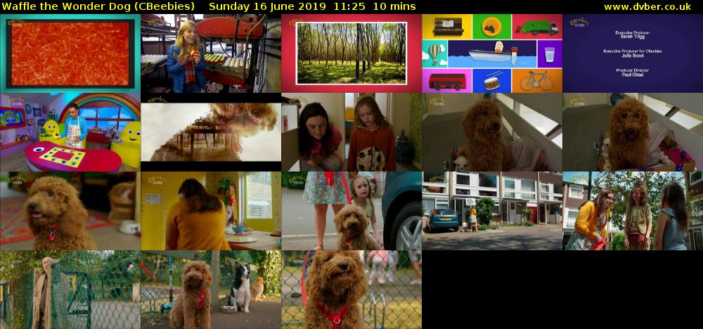 Waffle the Wonder Dog (CBeebies) Sunday 16 June 2019 11:25 - 11:35