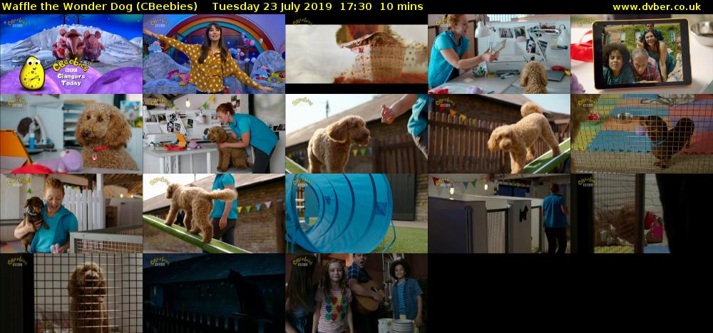 Waffle the Wonder Dog (CBeebies) Tuesday 23 July 2019 17:30 - 17:40