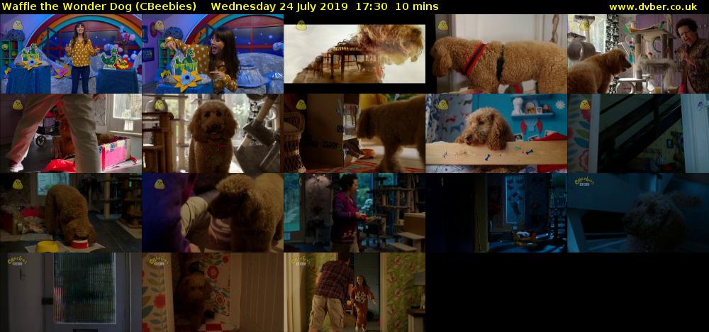 Waffle the Wonder Dog (CBeebies) Wednesday 24 July 2019 17:30 - 17:40