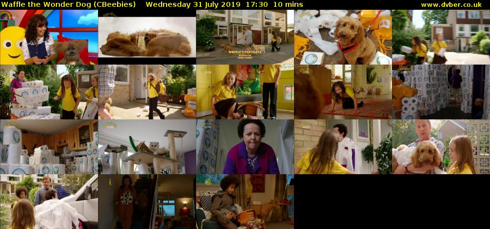 Waffle the Wonder Dog (CBeebies) Wednesday 31 July 2019 17:30 - 17:40