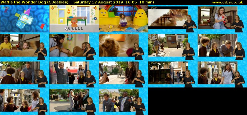 Waffle the Wonder Dog (CBeebies) Saturday 17 August 2019 16:05 - 16:15