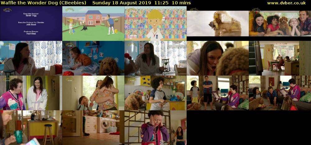 Waffle the Wonder Dog (CBeebies) Sunday 18 August 2019 11:25 - 11:35
