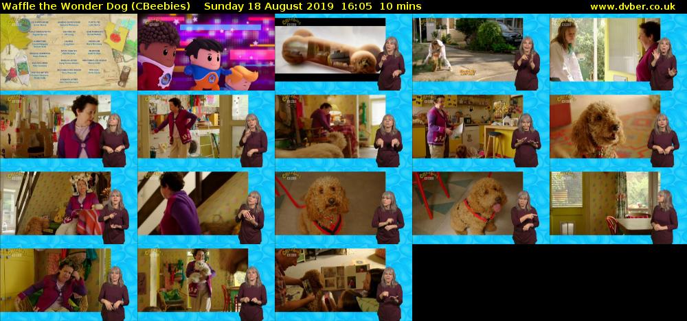 Waffle the Wonder Dog (CBeebies) Sunday 18 August 2019 16:05 - 16:15