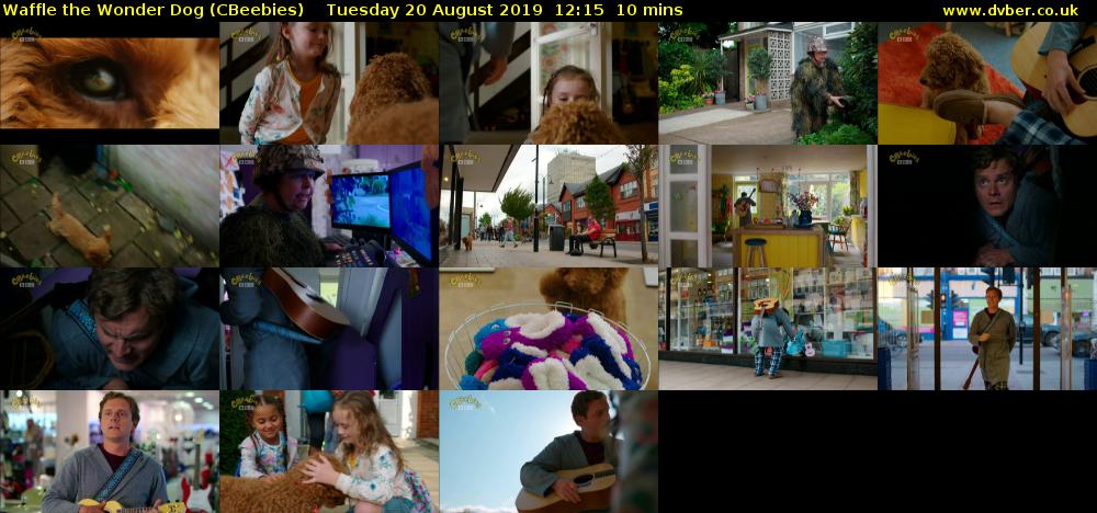 Waffle the Wonder Dog (CBeebies) Tuesday 20 August 2019 12:15 - 12:25
