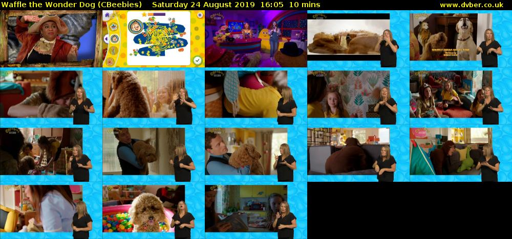 Waffle the Wonder Dog (CBeebies) Saturday 24 August 2019 16:05 - 16:15