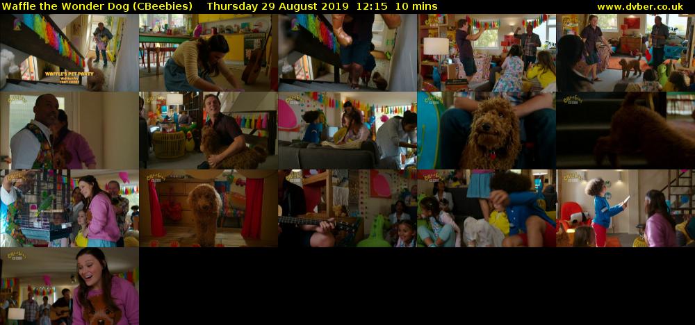 Waffle the Wonder Dog (CBeebies) Thursday 29 August 2019 12:15 - 12:25