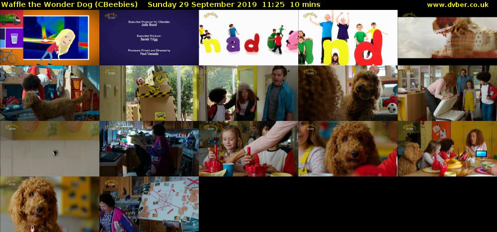 Waffle the Wonder Dog (CBeebies) Sunday 29 September 2019 11:25 - 11:35