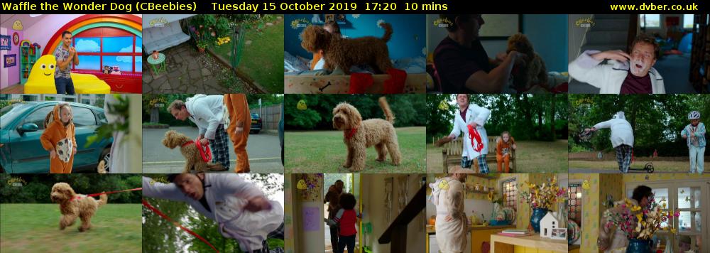 Waffle the Wonder Dog (CBeebies) Tuesday 15 October 2019 17:20 - 17:30