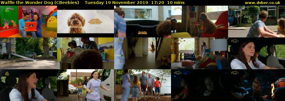 Waffle the Wonder Dog (CBeebies) Tuesday 19 November 2019 17:20 - 17:30