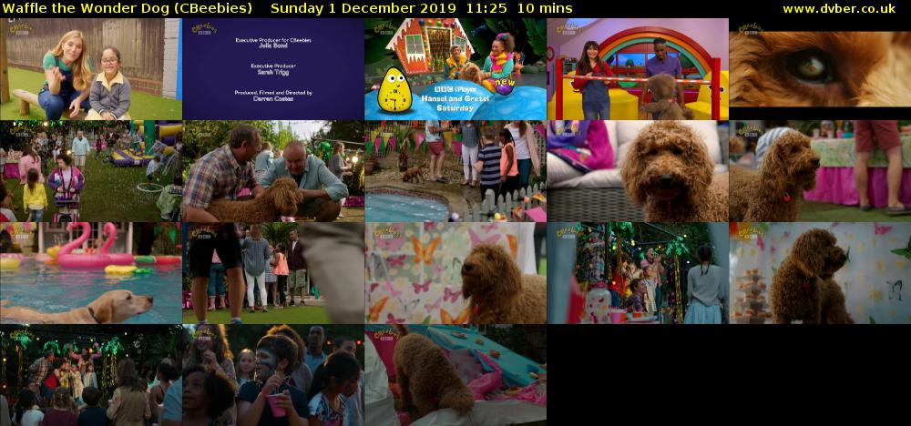 Waffle the Wonder Dog (CBeebies) Sunday 1 December 2019 11:25 - 11:35