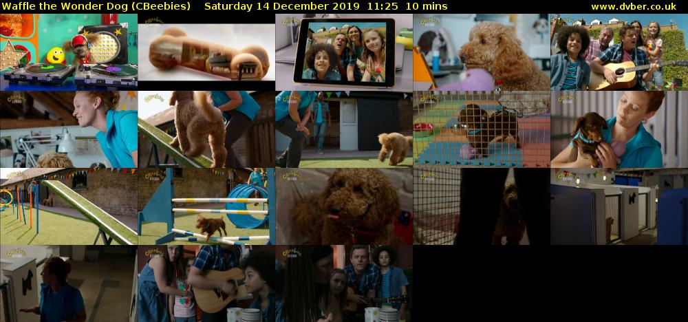 Waffle the Wonder Dog (CBeebies) Saturday 14 December 2019 11:25 - 11:35