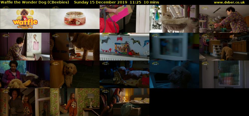 Waffle the Wonder Dog (CBeebies) Sunday 15 December 2019 11:25 - 11:35