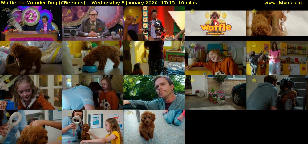 Waffle the Wonder Dog (CBeebies) Wednesday 8 January 2020 17:15 - 17:25