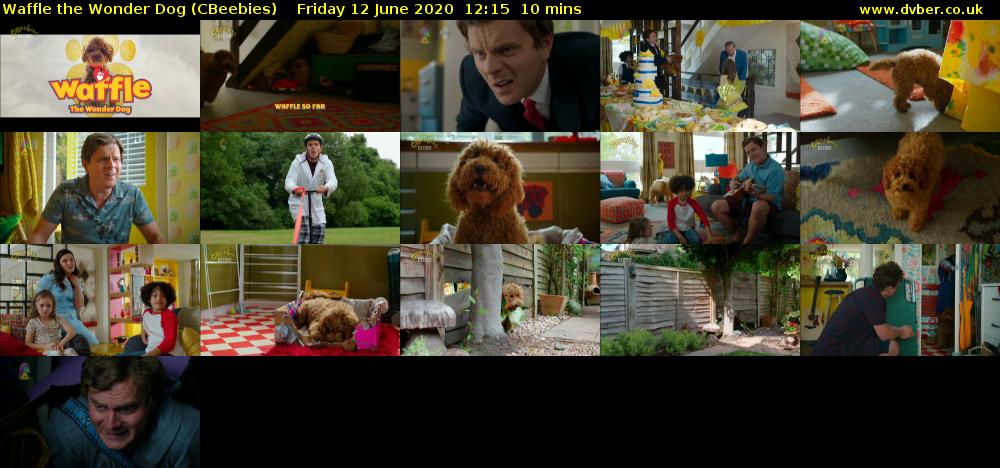 Waffle the Wonder Dog (CBeebies) Friday 12 June 2020 12:15 - 12:25