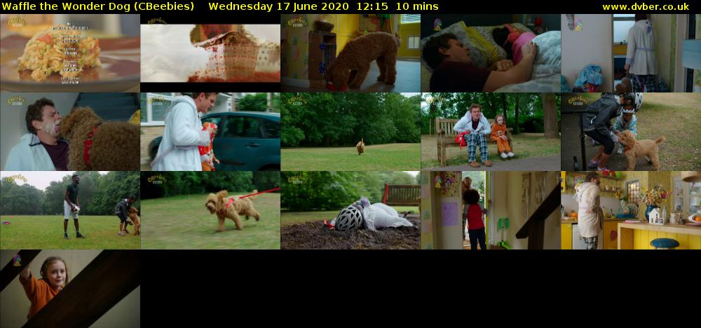 Waffle the Wonder Dog (CBeebies) Wednesday 17 June 2020 12:15 - 12:25