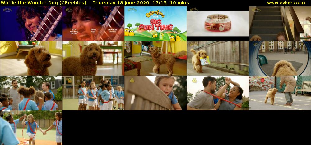 Waffle the Wonder Dog (CBeebies) Thursday 18 June 2020 17:15 - 17:25