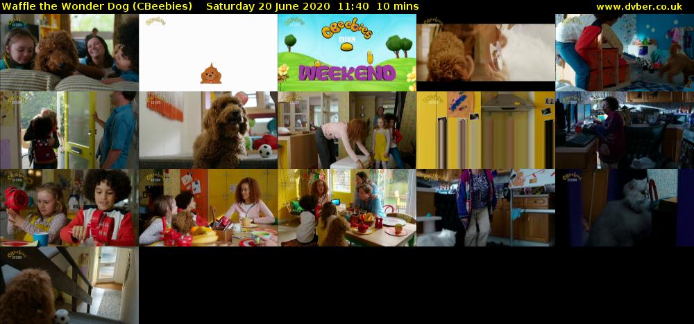 Waffle the Wonder Dog (CBeebies) Saturday 20 June 2020 11:40 - 11:50