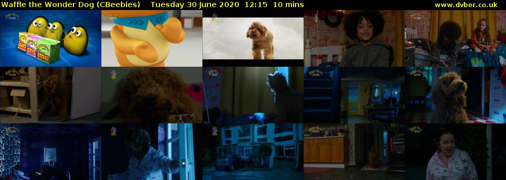 Waffle the Wonder Dog (CBeebies) Tuesday 30 June 2020 12:15 - 12:25