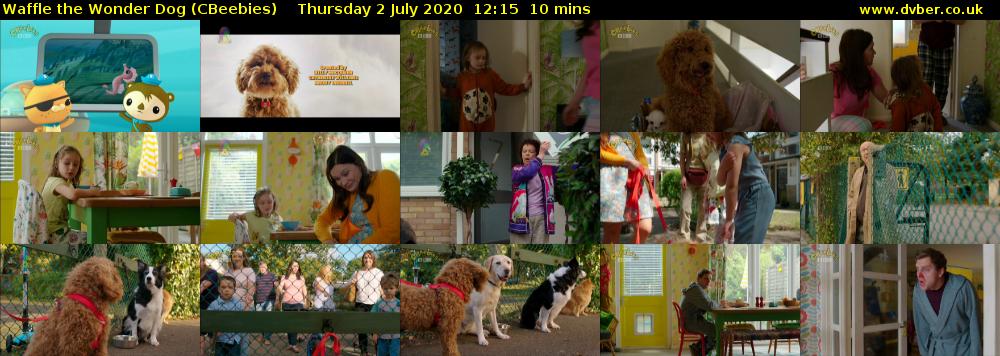 Waffle the Wonder Dog (CBeebies) Thursday 2 July 2020 12:15 - 12:25