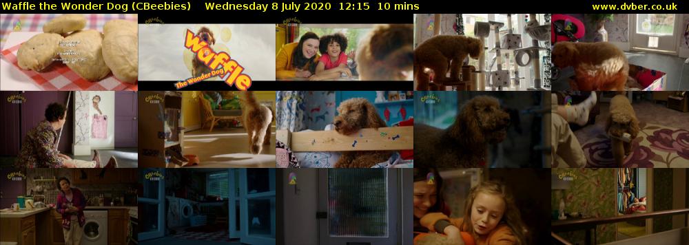 Waffle the Wonder Dog (CBeebies) Wednesday 8 July 2020 12:15 - 12:25