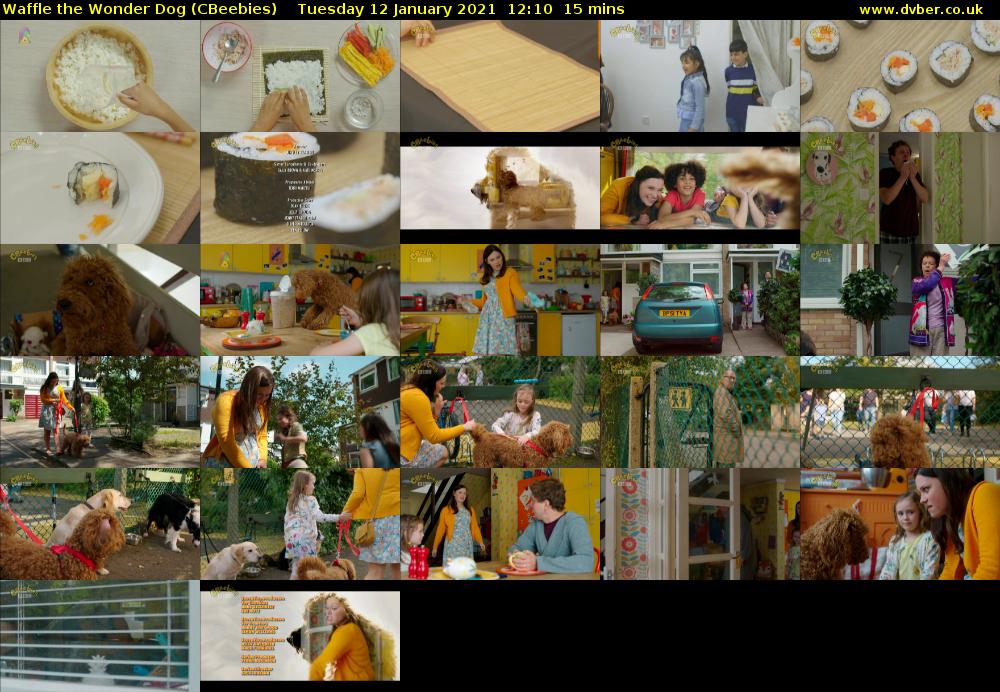 Waffle the Wonder Dog (CBeebies) 202101121210