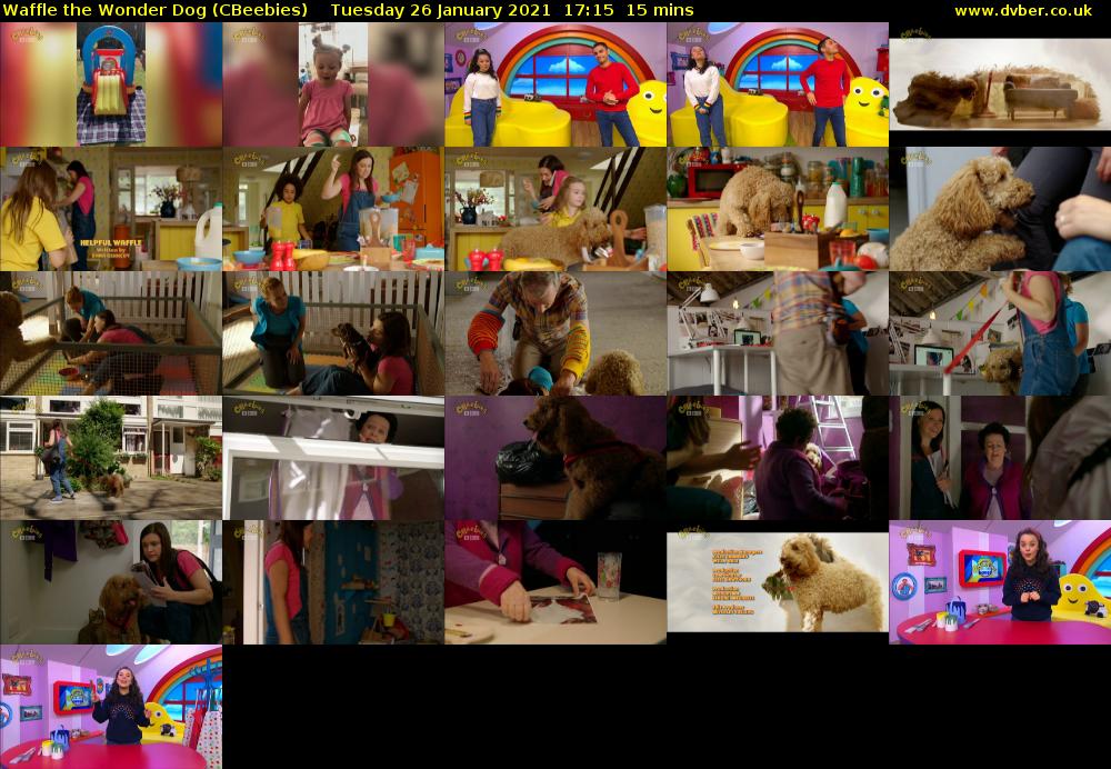 Waffle the Wonder Dog (CBeebies) 202101261715