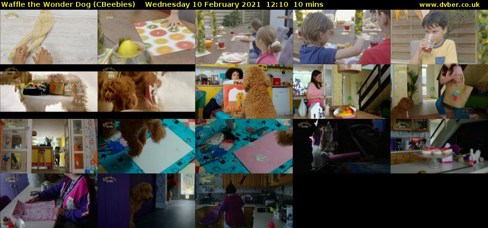 Waffle the Wonder Dog (CBeebies) Wednesday 10 February 2021 12:10 - 12:20