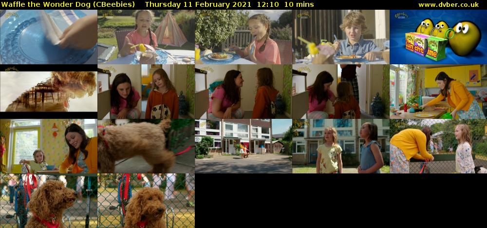 Waffle the Wonder Dog (CBeebies) Thursday 11 February 2021 12:10 - 12:20