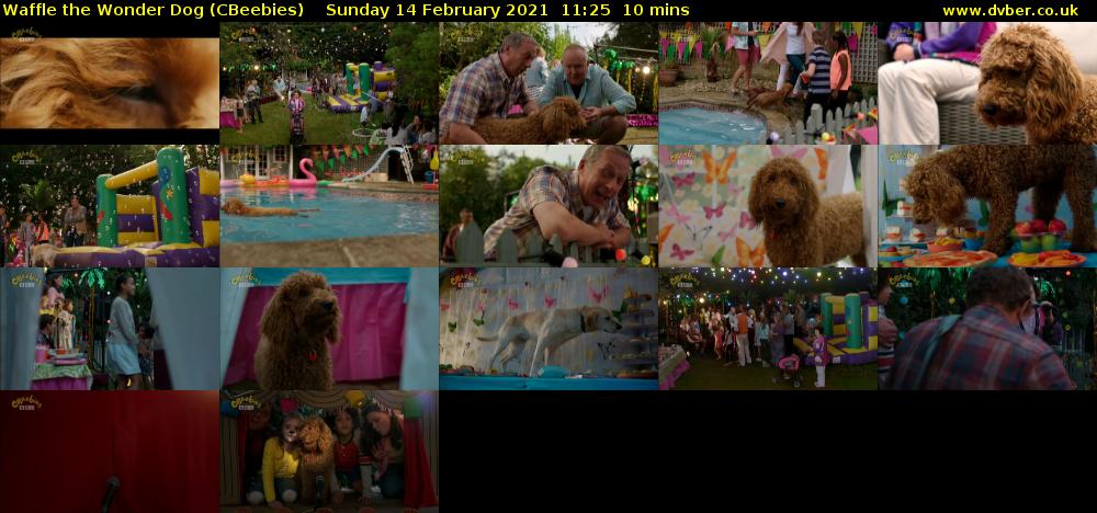 Waffle the Wonder Dog (CBeebies) Sunday 14 February 2021 11:25 - 11:35