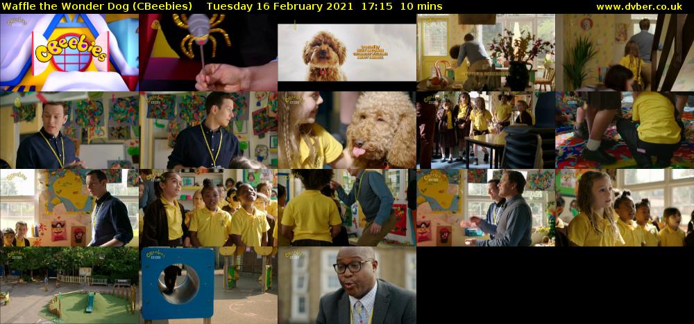 Waffle the Wonder Dog (CBeebies) Tuesday 16 February 2021 17:15 - 17:25