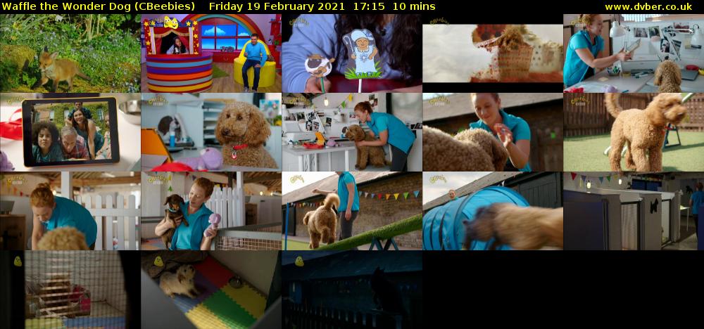 Waffle the Wonder Dog (CBeebies) Friday 19 February 2021 17:15 - 17:25